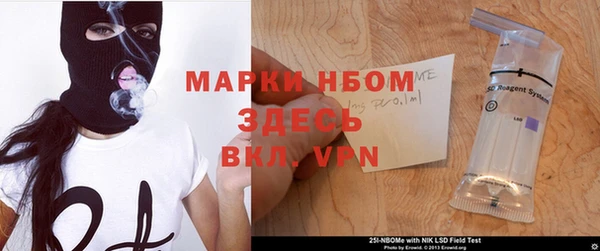 сатива Баксан