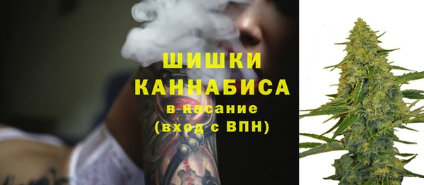 сатива Баксан