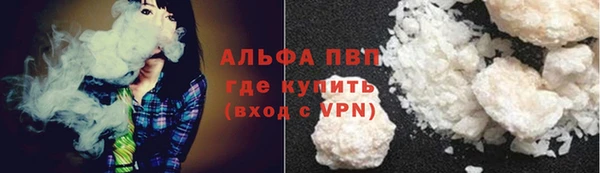 сатива Балахна
