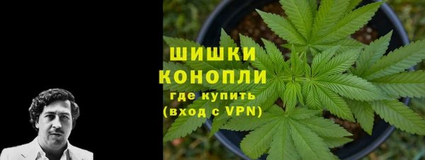 сатива Баксан