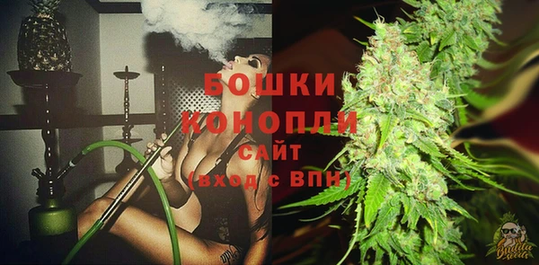 сатива Балахна