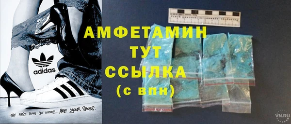 сатива Балахна
