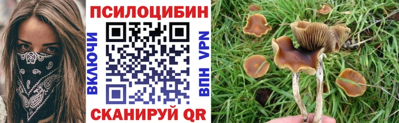 гидра сайт  Макарьев  Псилоцибиновые грибы Psilocybe  магазин продажи  